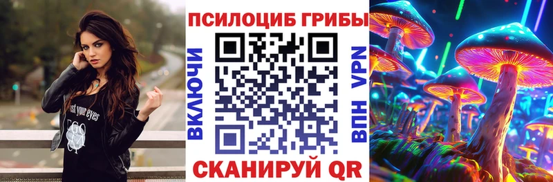 Псилоцибиновые грибы мицелий Павловск
